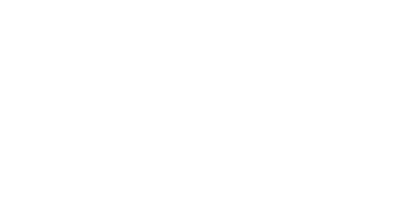 MINT Live Solutions